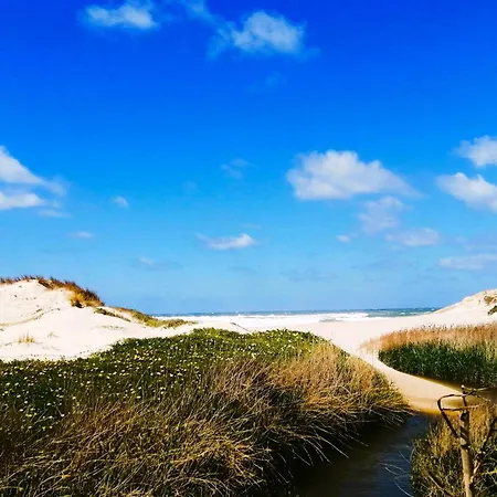 Apartamento The Sea Breeze Haven In D'el Rey *