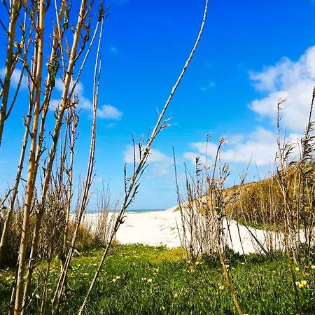 The Sea Breeze Haven In D'el Rey 아파트