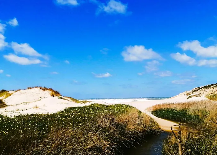 Apartamento The Sea Breeze Haven In D'el Rey *