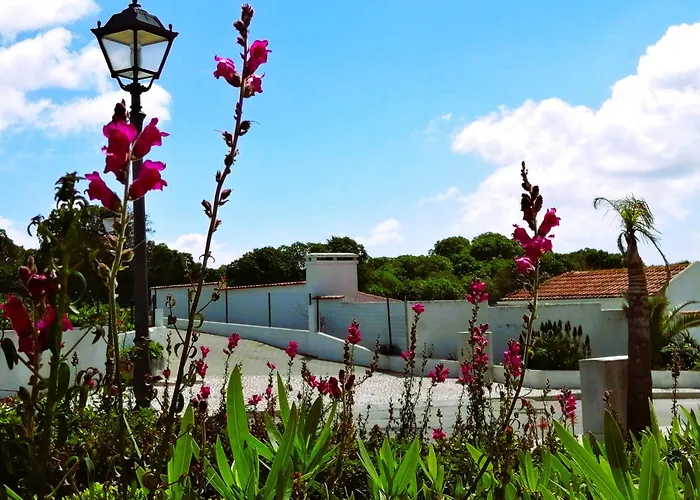 The Sea Breeze Haven In D'el Rey *